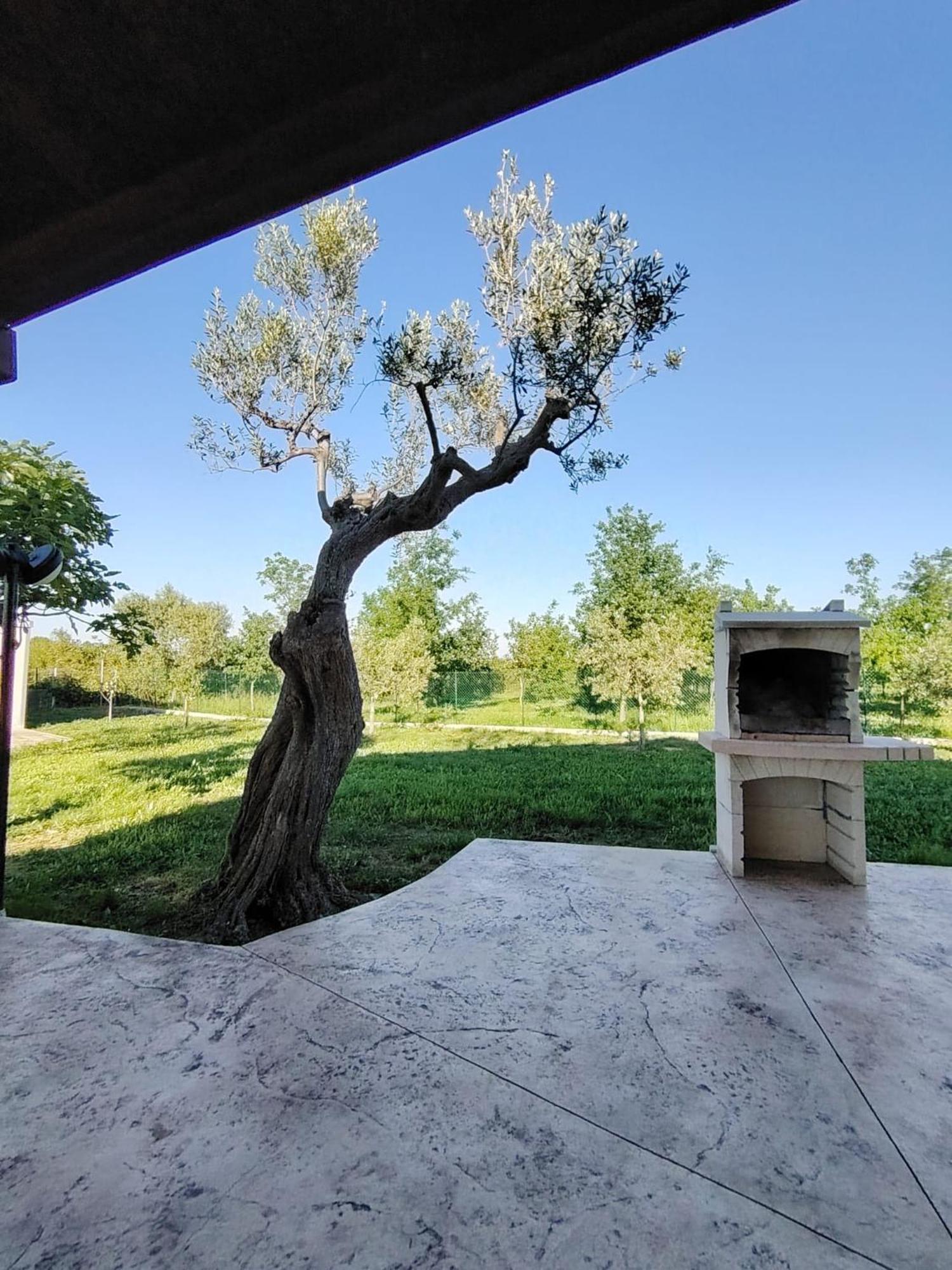 Casale Nel Verde San Vito Chietino Luaran gambar